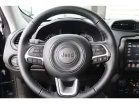 Jeep Renegade (2024) thumbnail 30