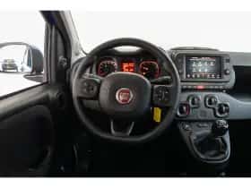 Fiat Panda (2024) thumbnail 31