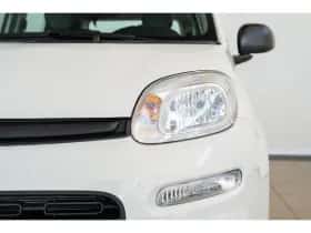 Fiat Panda (2025) thumbnail 2