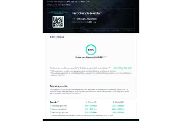 Fiat Grande Panda (2025) thumbnail 2