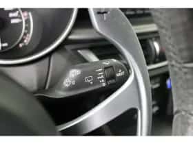 Alfa Romeo Stelvio (2022) thumbnail 29
