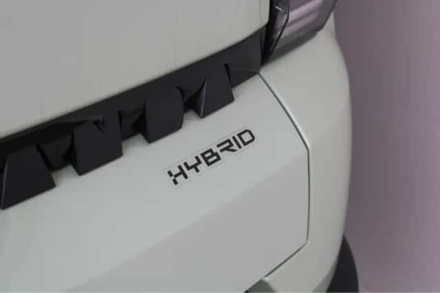 Fiat Grande Panda (2026) thumbnail 14