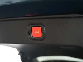 Fiat 600 (2026) thumbnail 30