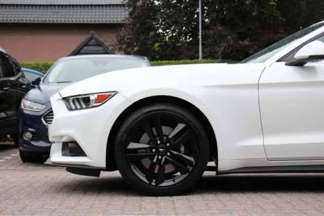Ford Mustang (2017) thumbnail 10