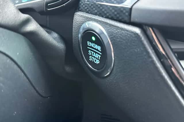 Ford Focus (2021) thumbnail 16