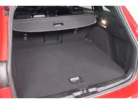 Ford Focus (2024) thumbnail 35