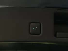 Ford Kuga (2024) thumbnail 26