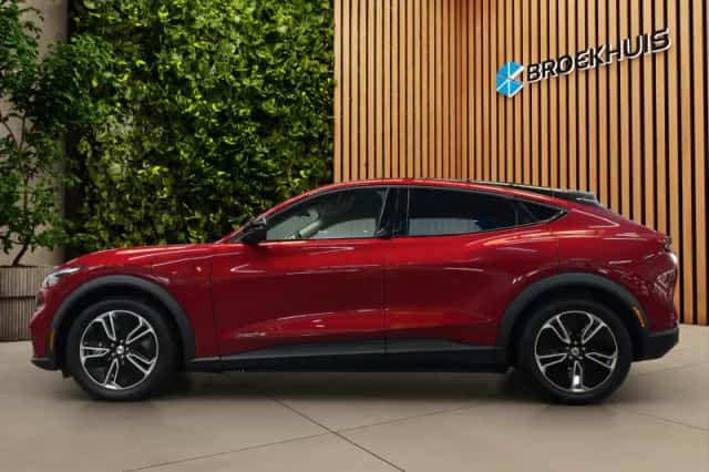 Ford Mustang Mach-E (2024) thumbnail 3