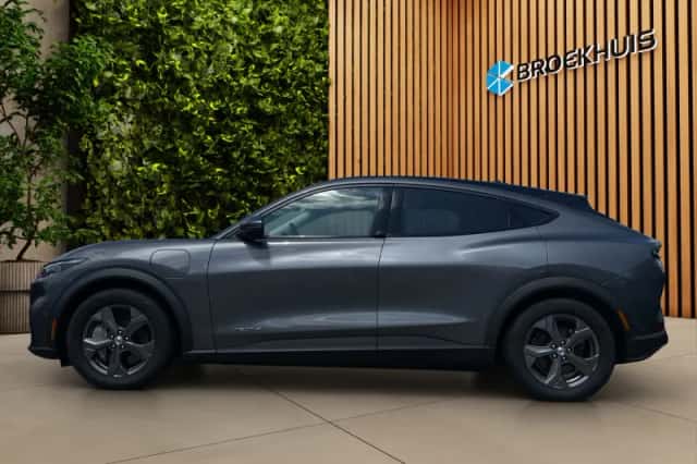 Ford Mustang Mach-E (2021) thumbnail 4
