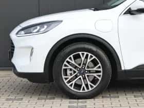 Ford Kuga (2020) thumbnail 19