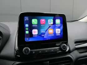 Ford EcoSport (2021) thumbnail 21