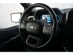 Ford F-150 (2024) thumbnail 18