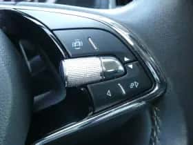 Škoda Kodiaq (2021) thumbnail 10