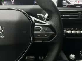 Peugeot 3008 (2019) thumbnail 16