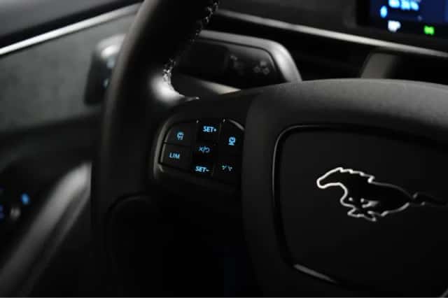 Ford Mustang Mach-E (2022) thumbnail 12