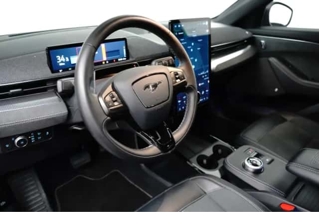 Ford Mustang Mach-E (2022) thumbnail 19