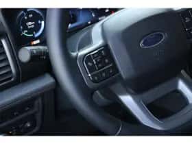 Ford F-150 (2022) thumbnail 14