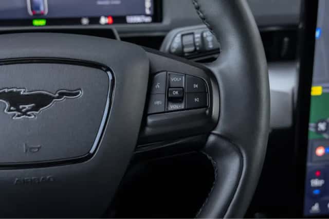 Ford Mustang Mach-E (2021) thumbnail 15