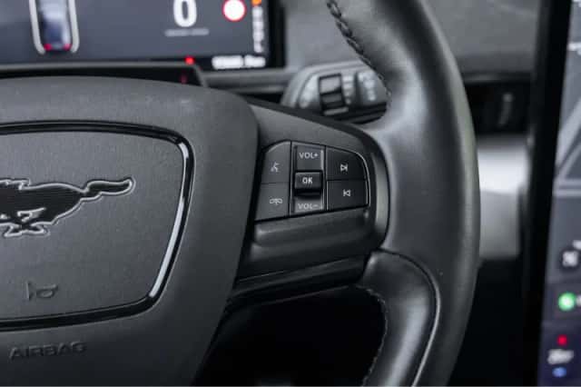 Ford Mustang Mach-E (2021) thumbnail 30