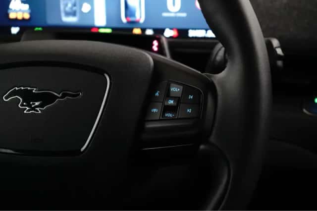 Ford Mustang Mach-E (2024) thumbnail 13