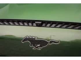 Ford Mustang Mach-E (2026) thumbnail 44