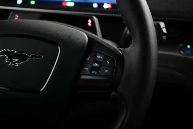 Ford Mustang Mach-E (2023) thumbnail 14