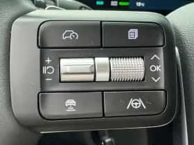 Hyundai Santa Fe (2025) thumbnail 29