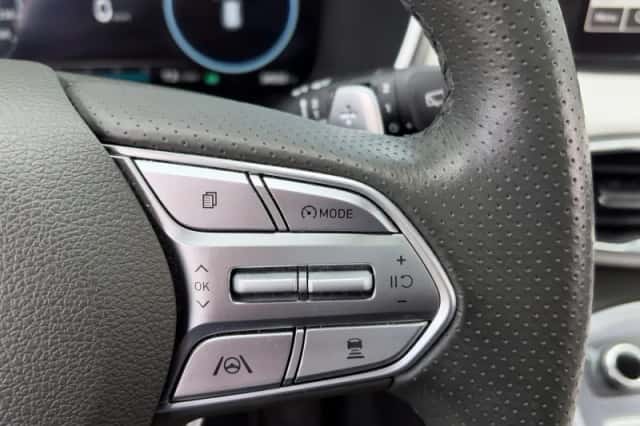 Hyundai Santa Fe (2023) thumbnail 20