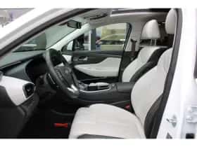 Hyundai Santa Fe (2022) thumbnail 19