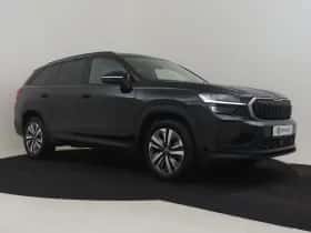 Škoda Kodiaq (2025) thumbnail 3