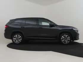 Škoda Kodiaq (2025) thumbnail 21