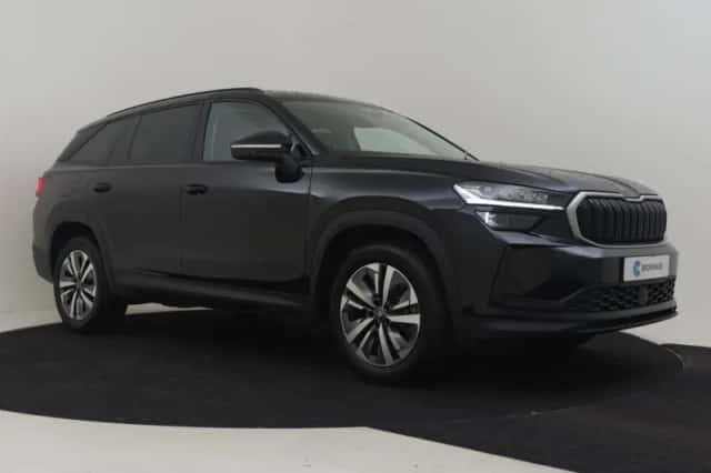 Škoda Kodiaq (2025) thumbnail 3
