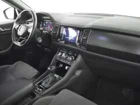 Škoda Kodiaq (2021) thumbnail 6