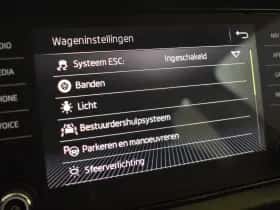 Škoda Kodiaq (2019) thumbnail 18