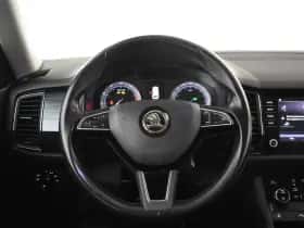 Škoda Kodiaq (2019) thumbnail 10