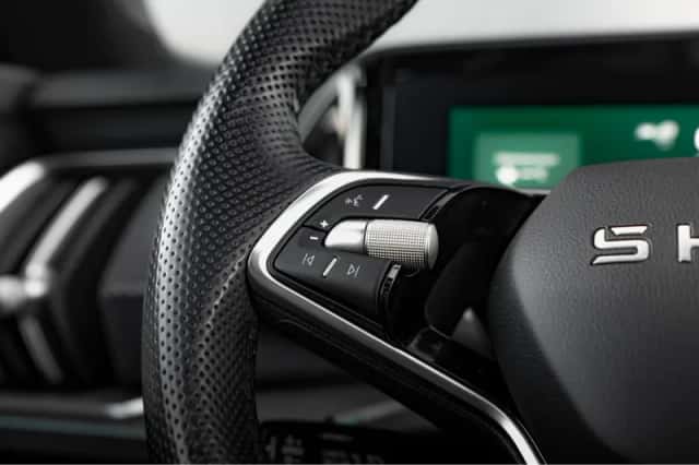 Škoda Kodiaq (2024) thumbnail 17
