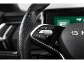 Škoda Kodiaq (2024) thumbnail 17