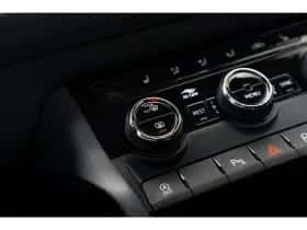 Škoda Kodiaq (2020) thumbnail 17