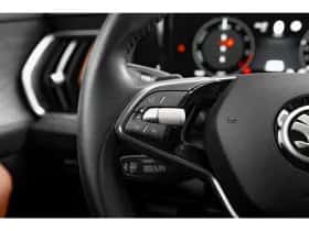 Škoda Kodiaq (2024) thumbnail 14