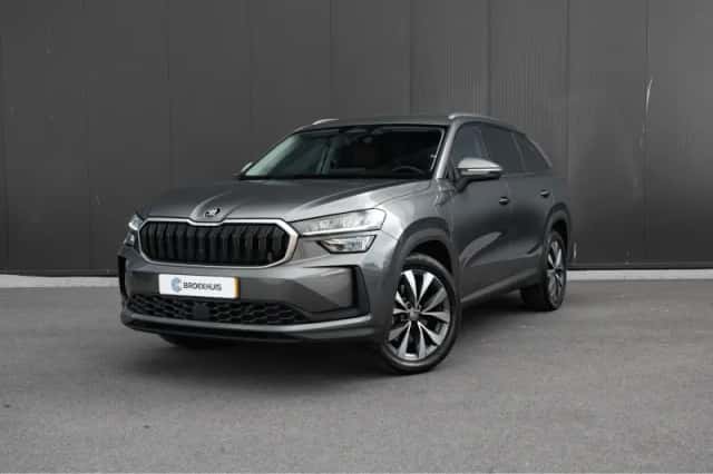 Škoda Kodiaq (2024) thumbnail 1