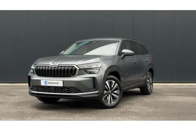 Škoda Kodiaq (2025) thumbnail 1