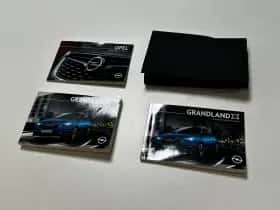 Opel Grandland X (2020) thumbnail 36