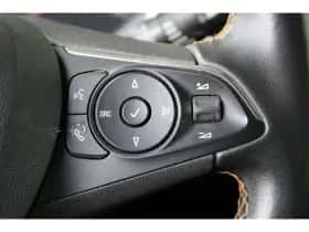 Opel Crossland X (2019) thumbnail 19