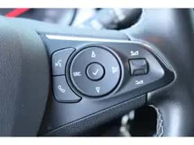Opel Crossland X (2019) thumbnail 23