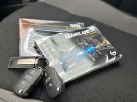 Opel Grandland X (2019) thumbnail 48