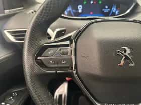 Peugeot 3008 (2019) thumbnail 27