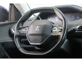 Peugeot 3008 (2019) thumbnail 13