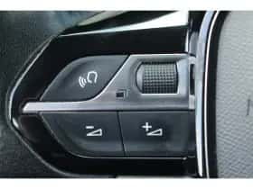 Peugeot 2008 (2020) thumbnail 24