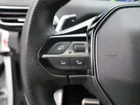 Peugeot 3008 (2021) thumbnail 21