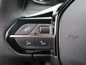 Peugeot 2008 (2021) thumbnail 25